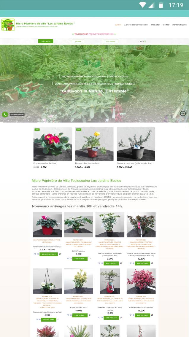 Creation-de-Sites-Internet-et-Boutiques-E-commerce-Abordables-a-Toulouse-–-WebVisuel-Experts-des-Solutions-Web-pour-Petites-Entreprises-et-Independants-5-1 (4) (1)