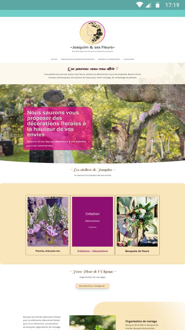 Creation-de-Sites-Internet-et-Boutiques-E-commerce-Abordables-a-Toulouse-–-WebVisuel-Experts-des-Solutions-Web-pour-Petites-Entreprises-et-Independants-5-1 (5)