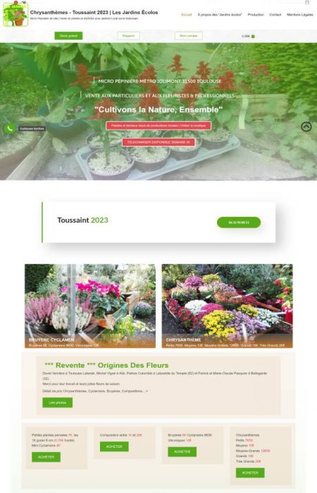 Creation-de-Sites-Internet-et-Boutiques-E-commerce-Abordables-a-Toulouse-–-WebVisuel-Experts-des-Solutions-Web-pour-Petites-Entreprises-et-Independants-5-1 (4)
